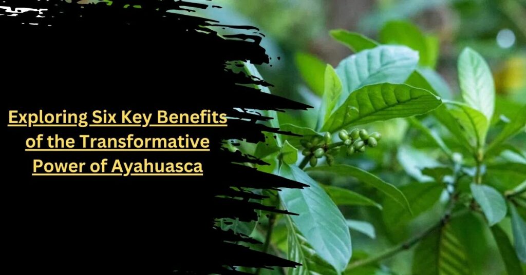 Exploring Six Key Benefits of the Transformative Power of Ayahuasca