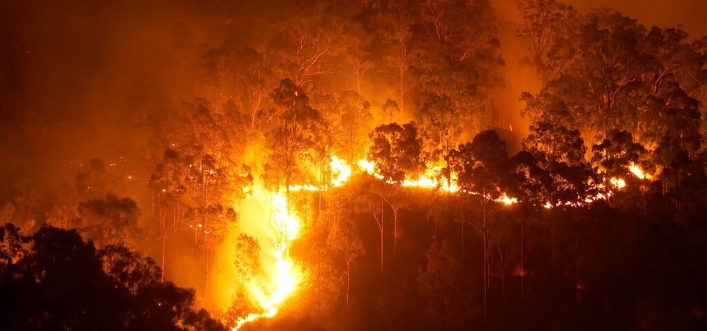Navigating Bushfire Risk: Assessment of BAL in Western Australia
